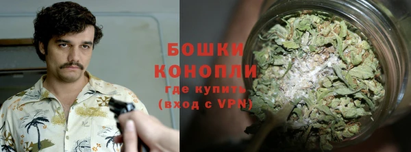 тгк Каменка