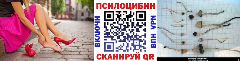 купить  сайты  Нарьян-Мар  Галлюциногенные грибы мухоморы 